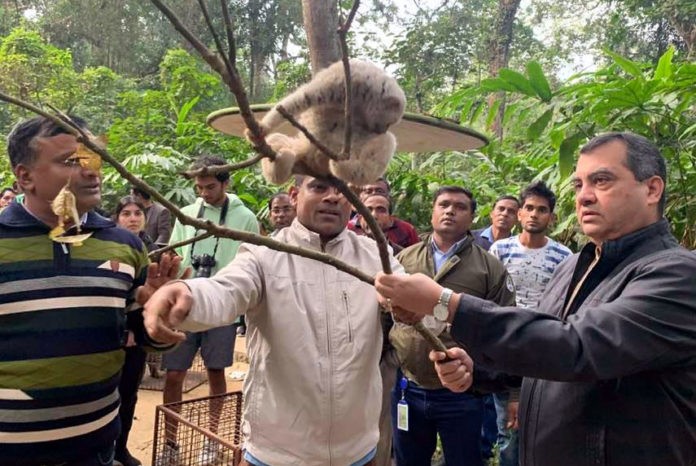 কমলগঞ্জের লাউয়াছড়ায় বন্যপ্রাণী অবমুক্ত করলেন সাবের হোসেন চৌধুরী এমপি