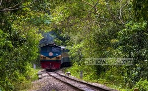 বনের ভেতর অবকাঠামো: ক্ষতিপূরণ চাইবে মন্ত্রণালয়