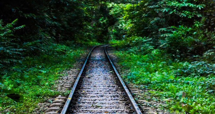 দেশের জাতীয় উদ্যানগুলো অক্টোবর পর্যন্ত বন্ধ রাখার সুপারিশ