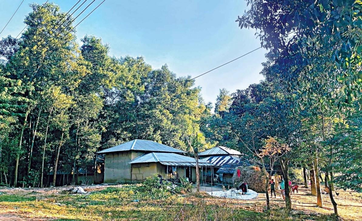 দখল হয়ে গেছে ২ লাখ ৫৭ হাজার একর বনভূমি