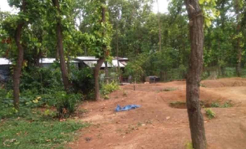 বনের ১০ হাজার কোটি টাকার সম্পত্তি বেদখল