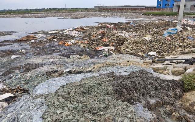 সাভারে ট্যানারি বন্ধে অভিযান চায় সংসদীয় কমিটি