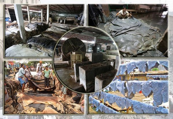 পরিবেশ দূষণের দায়ে সাভারের ট্যানারি শিল্প বন্ধের উদ্যোগ