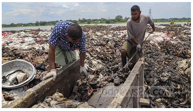 চামড়া শিল্পে দূষণ: শিল্প ও বাণিজ্য সচিবকে তলব করবে সংসদীয় কমিটি