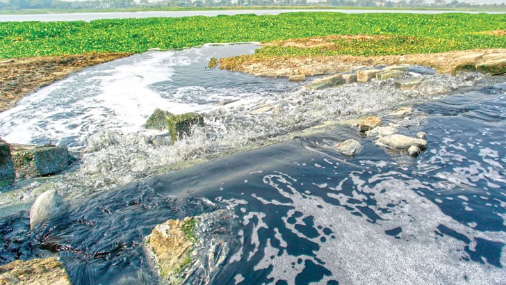 পরিবেশ ছাড়পত্রের আবেদন না করা ট্যানারি বন্ধের সিদ্ধান্ত
