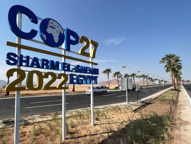 কপ-২৭ এর সপ্তম দিনে গুরুত্ব পেল অভিযোজন এবং কৃষি