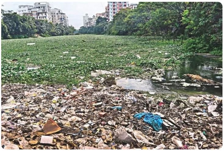 পরিবেশ দূষণে জরিমানার পরিমাণ বাড়ানোর সুপারিশ সংসদীয় কমিটির