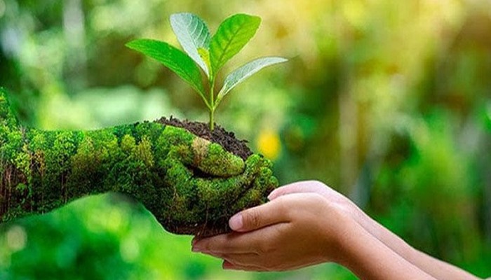 পরিবেশ রক্ষা করা এখন মানুষের অস্তিত্বের বিষয়