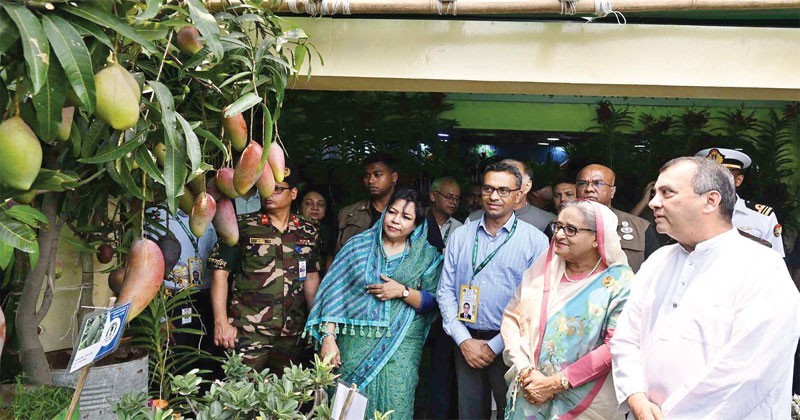 আওয়ামী লীগ গাছ লাগায় আর বিএনপি ধ্বংস করে : শেখ হাসিনা